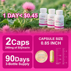 300 Milk Thistle 300mg Extract with Turmeric, Niacinamide & L-Glutathione, Liver Support Cleanse, Detox & Repair Supplement, Antioxidant Support for Women (30-Day Essentials Pack)
