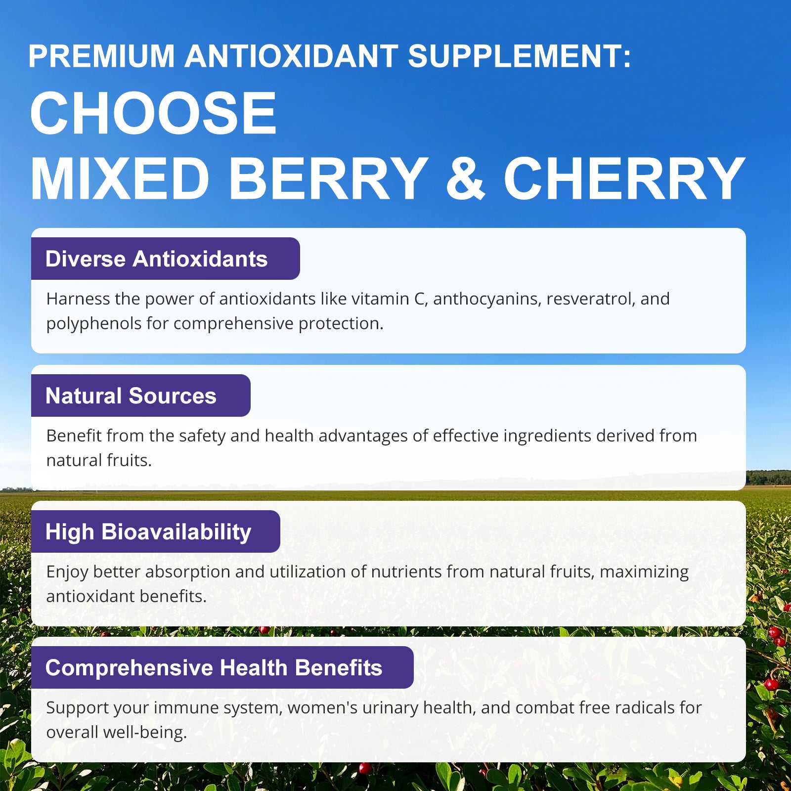 6X 6-in-1 Mixed Berry & Cherry Antioxidant Supplement - 6-Berry Extract for Even Skin Tone & Urinary Tract Health - 120 Vegan Capsules, 60-Day Routine Bundle